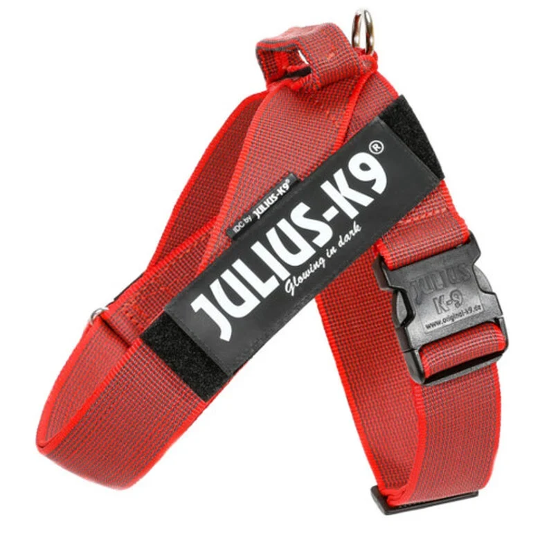 Arnés Julius K9 IDC Cinta Rojo T Mini