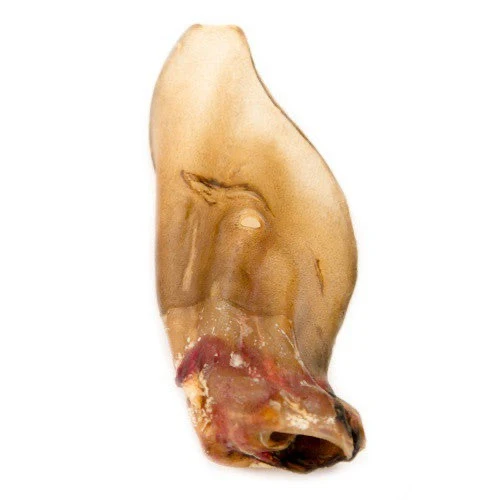 Oreja de ternera sin pelo (10 uds)