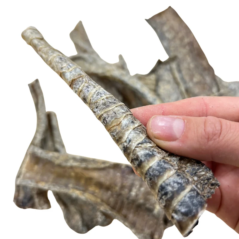 Piel de avestruz 50g