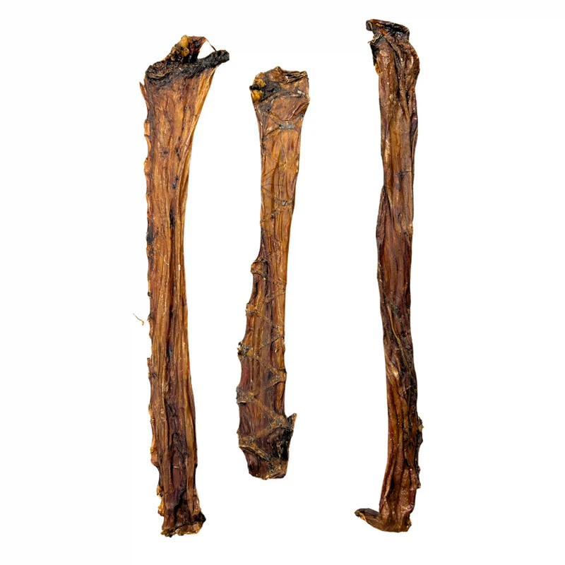 Esófago de avestruz (20 - 30cm) (1 ud)