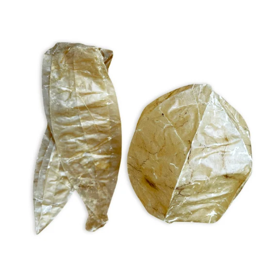 Vejiga de ternera XL - Bolsa de 250g (De 7 a 10 uds)