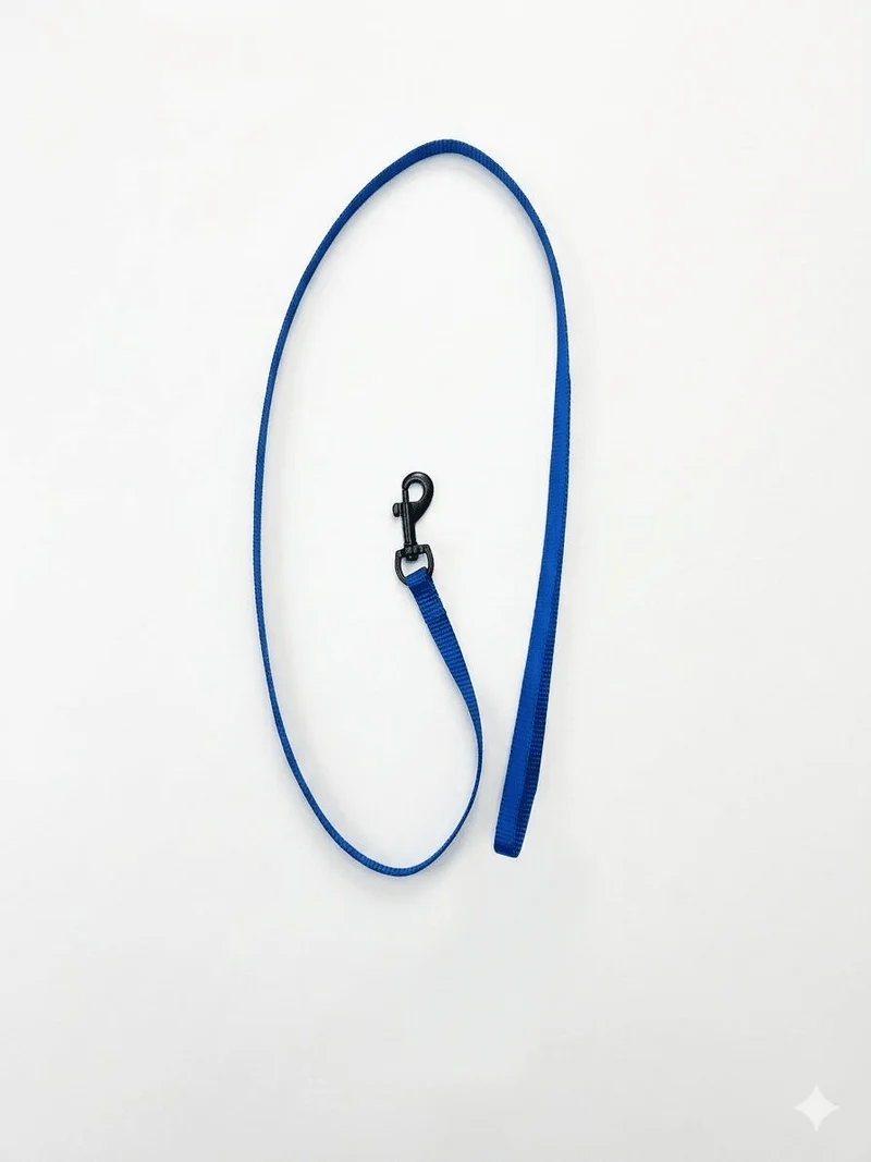 Correa Nylon Sportiv Plus Azul S 1m | Paseo