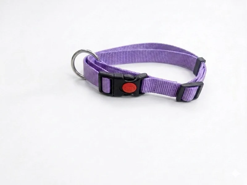 Collar Nylon Classic Lila 20mm x 38-45cm con Cierre de Seguridad