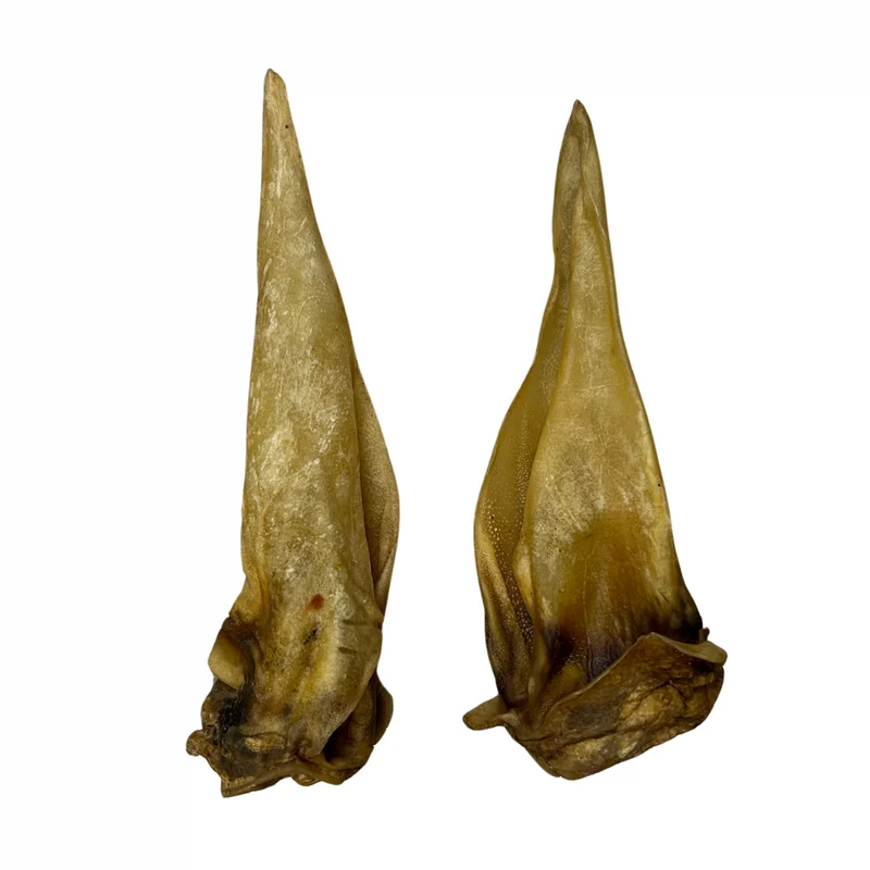 Oreja de caballo sin pelo (1 ud)