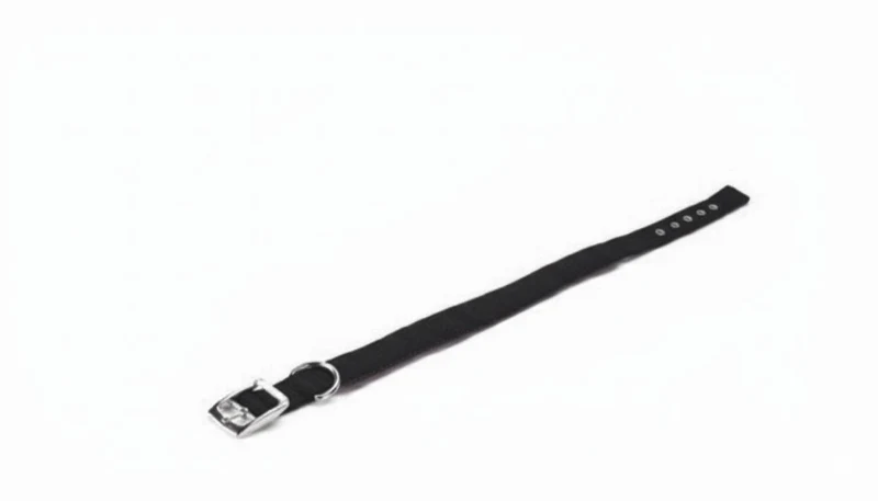 Collar Nylon Acolchado Negro 20mm x 45cm