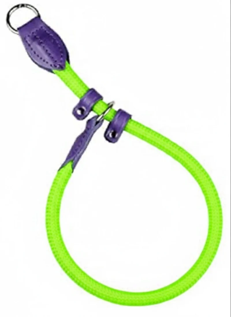 Collar Educativo Nylon con Freno Verde y Lila 50cm