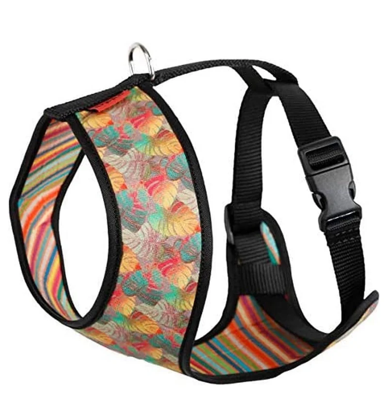 Arnés ACC Plus Florida T M