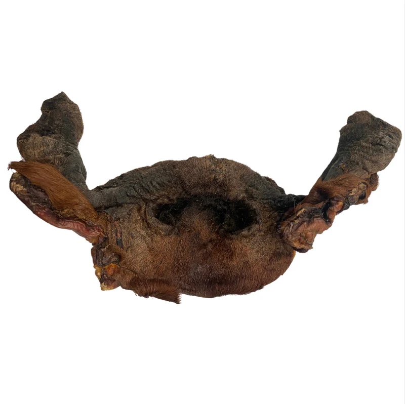 Hocico de caballo con pelo (1 ud)