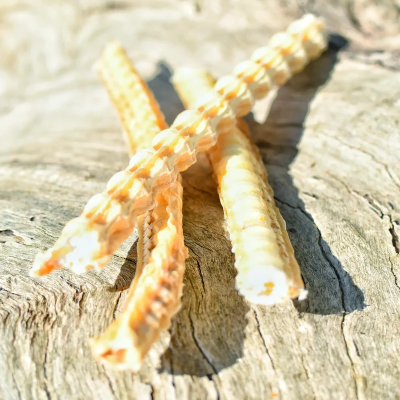Cartílago de tiburón 50g