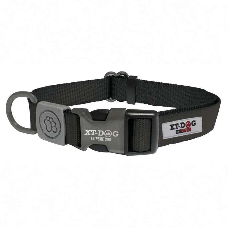 Collar Classic XT-DOG Negro Talla XS