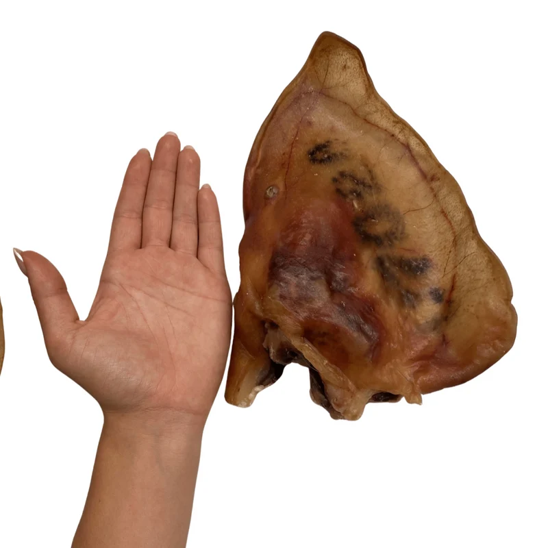 Orejas de cerdo ibérico XL (1 ud)