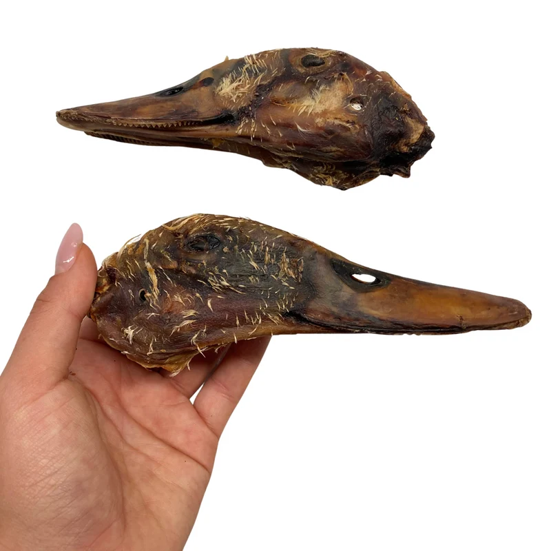 Cabeza de pato deshidratada (1 ud)