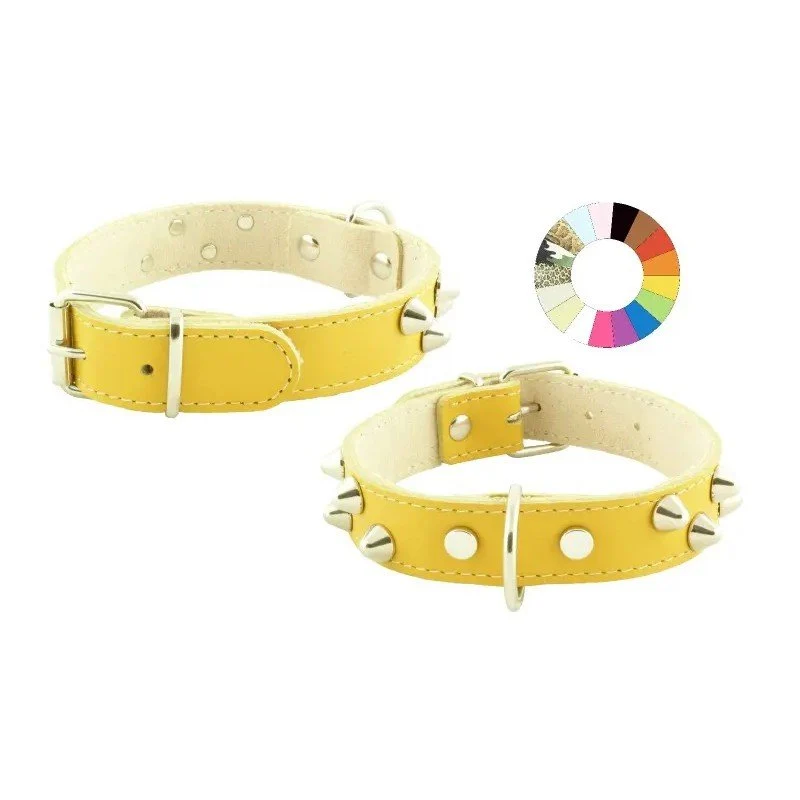 Youpet Collar Mountain Co2F Verde 40-46 L500 A25 1un