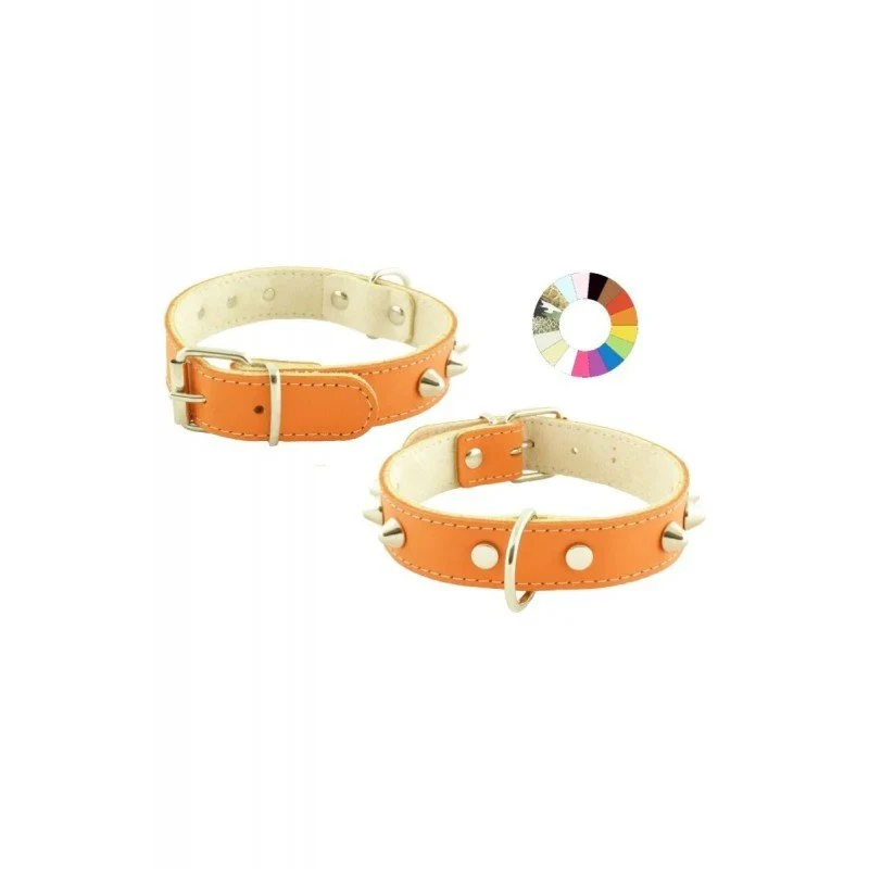 Youpet Collar Mountain Co2F Violeta 49-58 L650 A35 1un