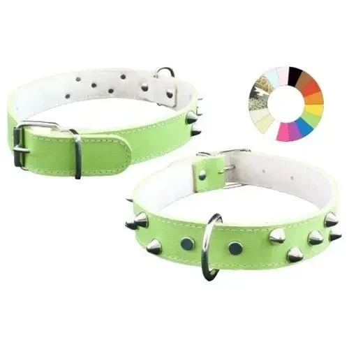 Youpet Collar Mountain Co3F Ver 39-48 L550 A30 1un
