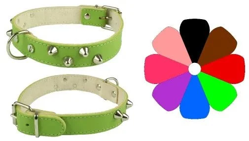 Youpet Collar Mountain Co2F Rs 49-58 L650 A35 1un