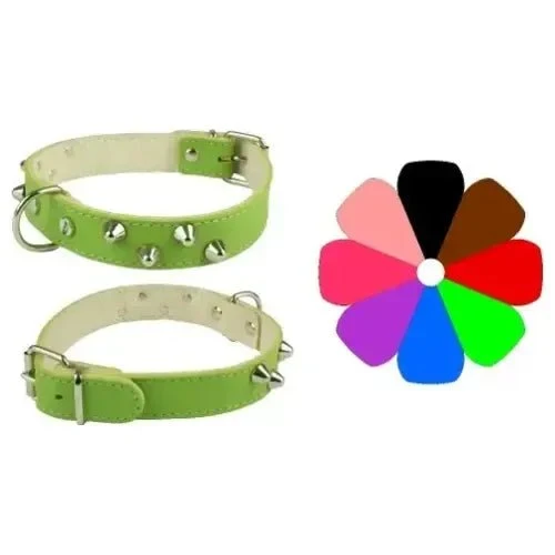 Youpet Collar Mountain Co2F Am 35-41 L450 A25 1un