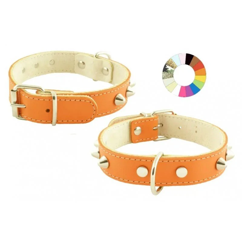 Youpet Collar Mountain Co1F Blanco 30-36 L400 A25 1un
