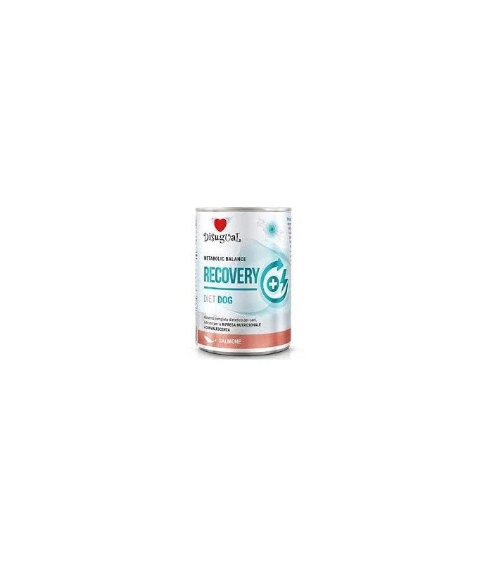 Disugual Diet Dog Recovery Salmón Comida Húmeda 400g