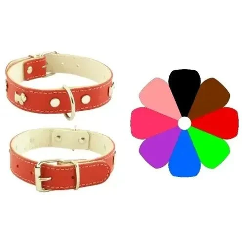 Youpet Collar Mountain Westy Oro 59-68cm 0.1kg