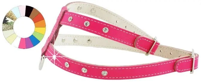Youpet Arnes Little Fant Verde A16 C350/24-30 P500/39-45 1un