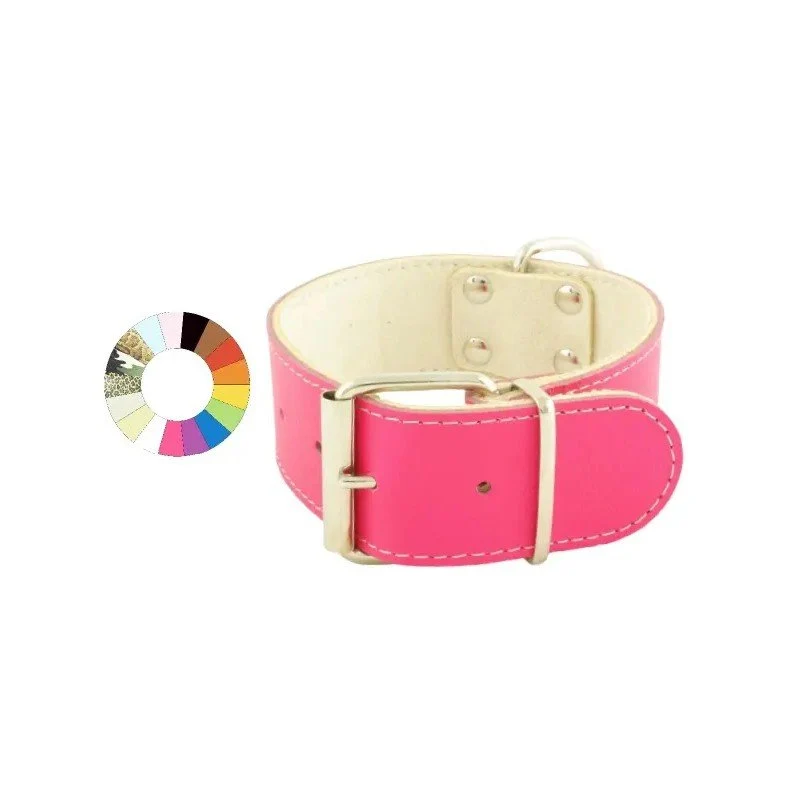 Youpet Collar Big Mountain Mr 25-35 L400 A40 1un
