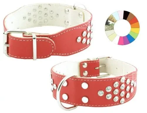Youpet Collar Bull-Dog Fant Rj 50-59 L650 A40 1un