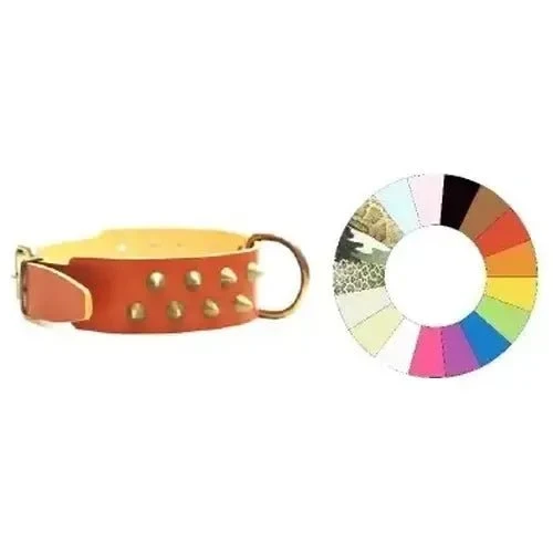 Youpet Collar Bull-Dog Conos 2F Hard Mr 3L500 A40*Dx* 1un