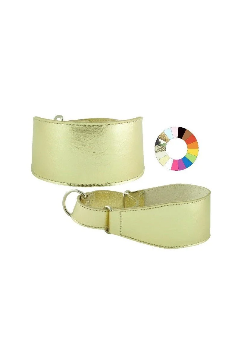 Youpet Collar Galgo Marting Estre Az 25-35 L350 A60 1un
