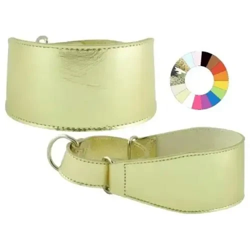 Youpet Collar Galgo Marting Estre Rj 25-35 L350 A60 1un