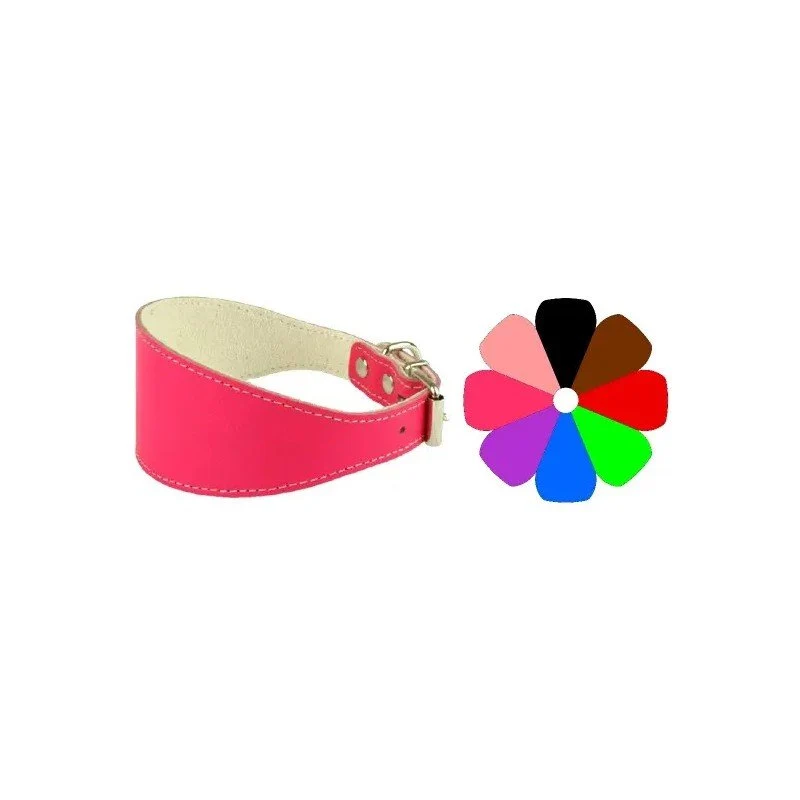 Youpet Collar Galgo Pt 26-36 L400 A55 1un