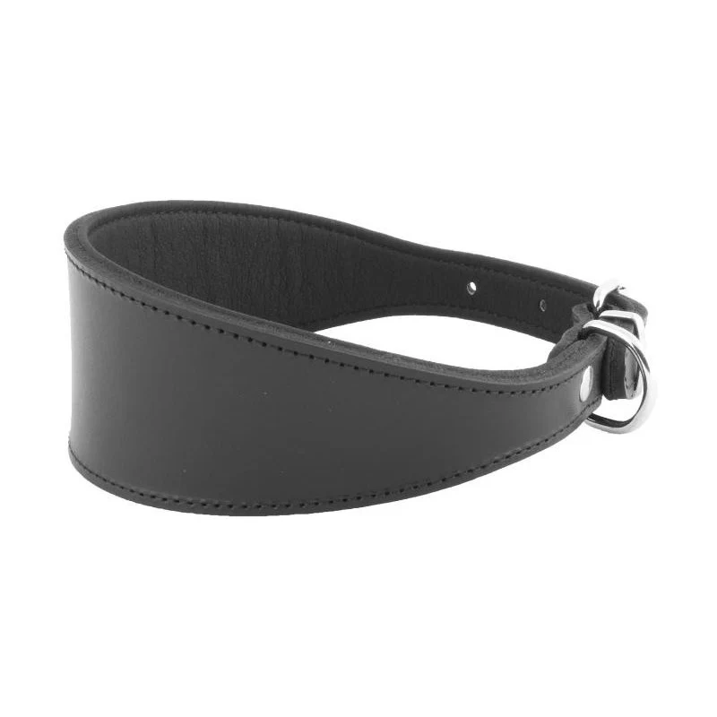 Youpet Collar Galgo Ng 22-32 L350 A50 1un