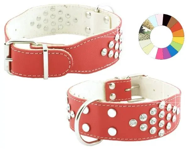 Youpet Collar Bull-Dog Fant Celeste 55-64 L700 A40 1un