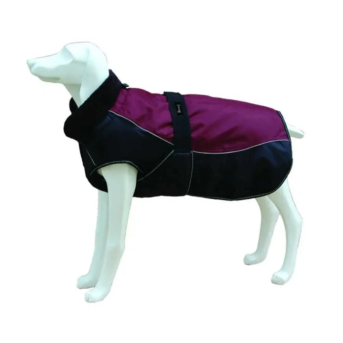 Freedog North Pole C Capa Granate 1 ud