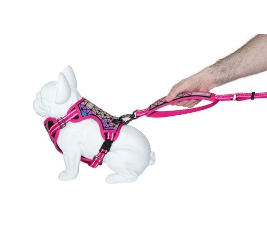Freedog Kit Arnés + Correa Gatos Rosa 1 ud