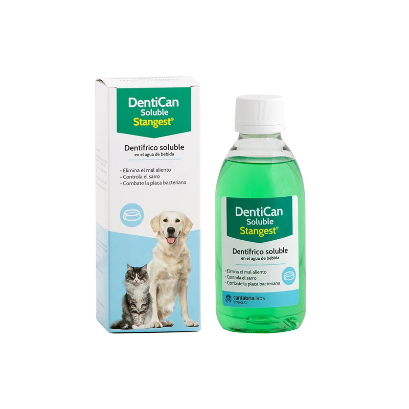 Stangest Dentican Soluble