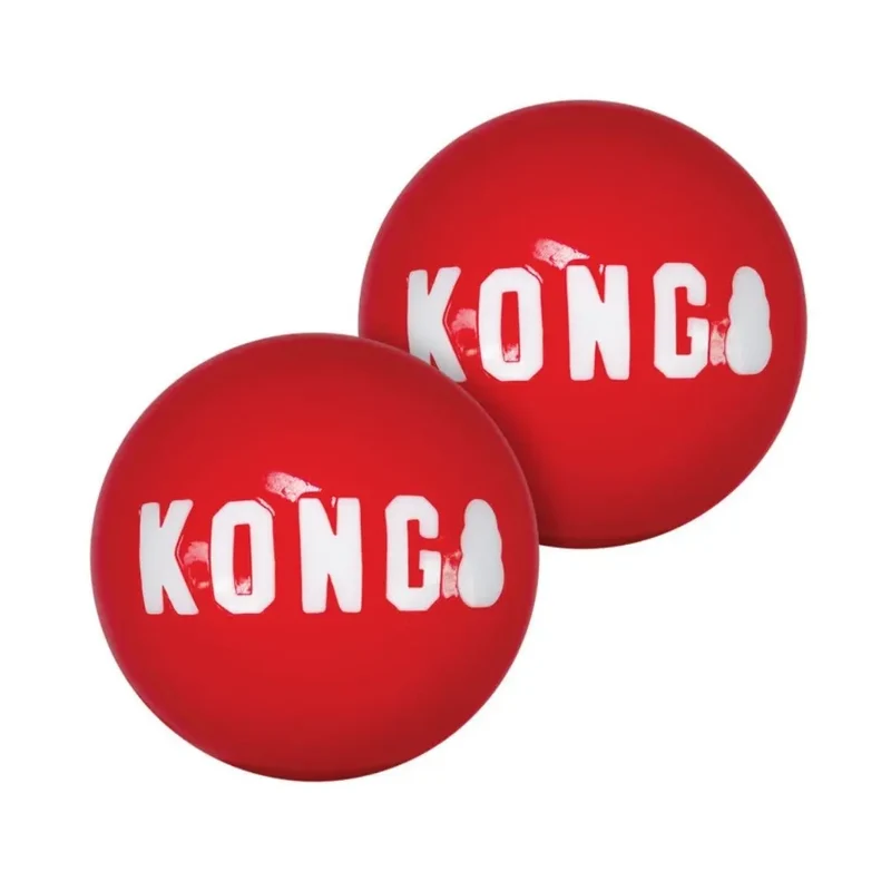 KONG Signature Ball Medium 2x