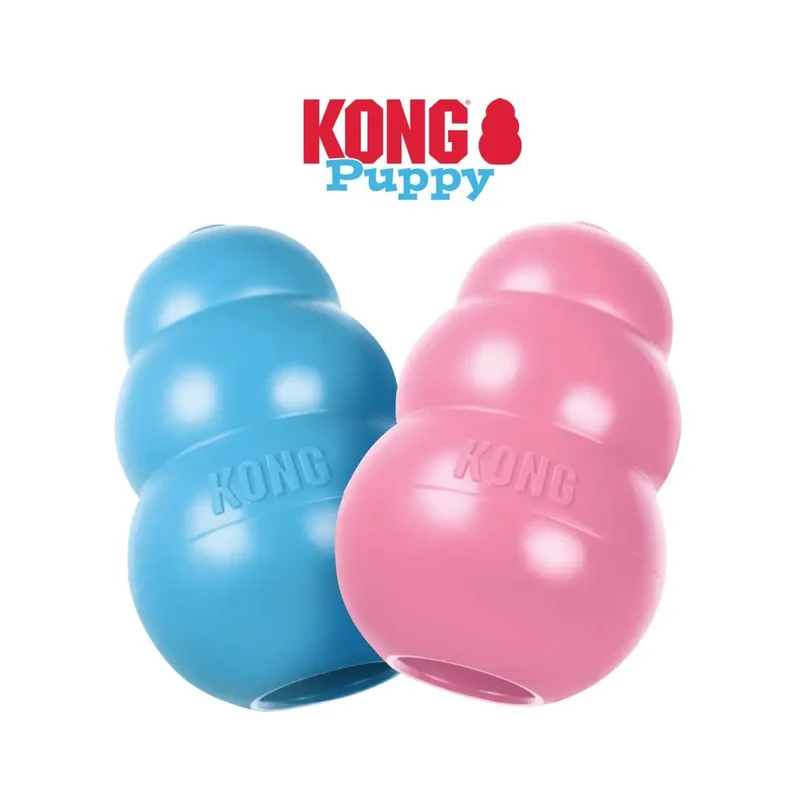 KONG Puppy