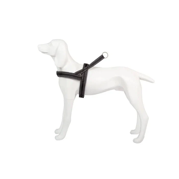 Freedog Shiva Sport Arnés M Gris 1 ud
