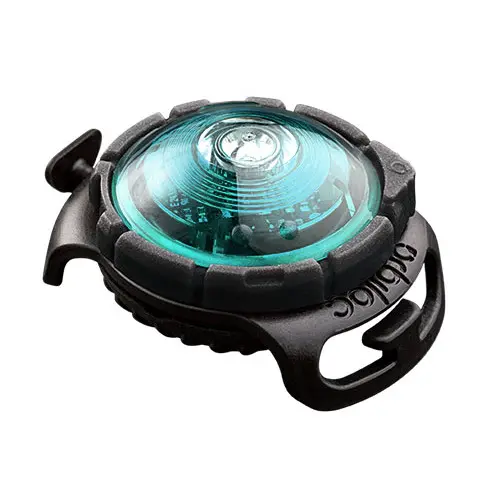 Orbiloc Dog Dual Safety Light - Turquoise