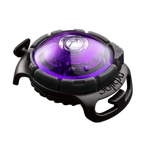 Orbiloc Dog Dual Safety Light - Purple