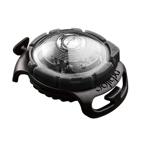 Orbiloc Dog Dual Safety Light - White