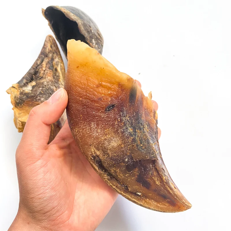 Pezuña de buey XL (1 ud)