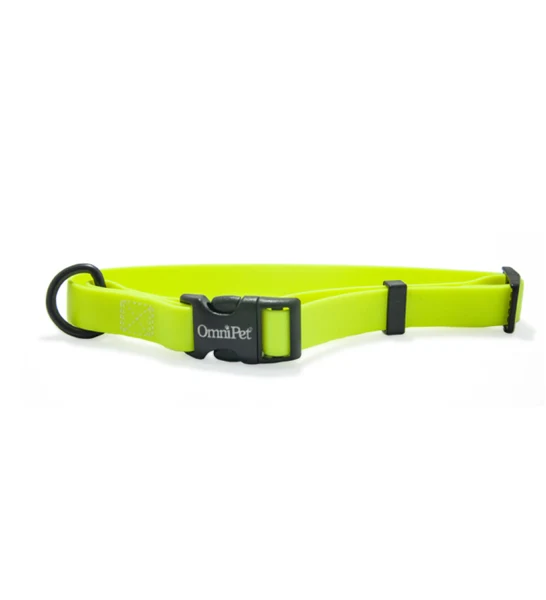 Omnipet Carnival Collar 18-26"
