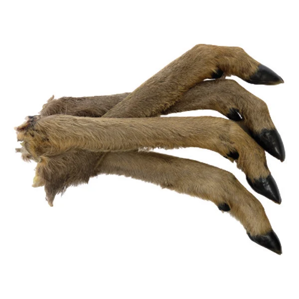 Pata de Corzo con pelo 20 - 30cm (1 ud)