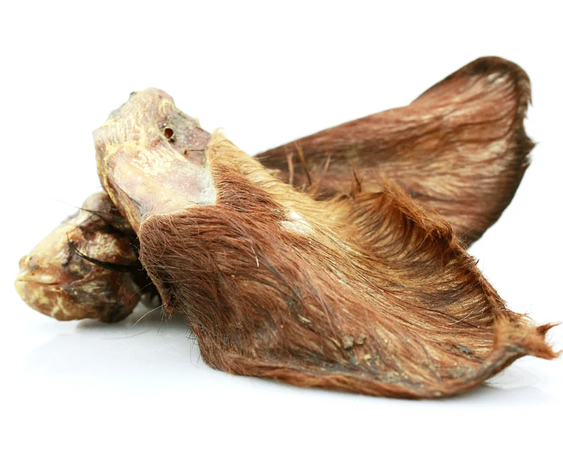Oreja de ternera con pelo (1 ud)