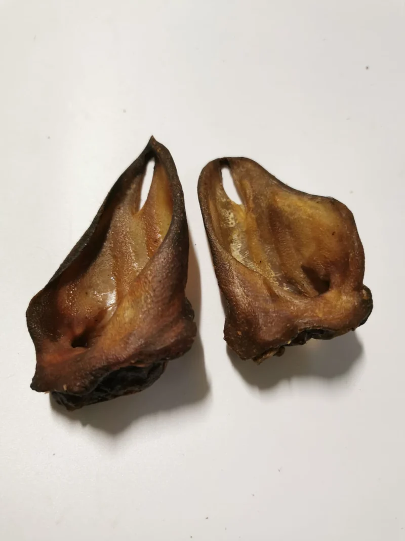 Oreja de jabalí (1 ud)
