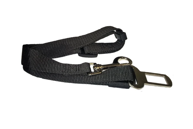 Car Seat Safety Clip
