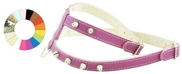 Youpet Arnes Little Co1F Verde A14 C250/14-20 P400/29-35 1un