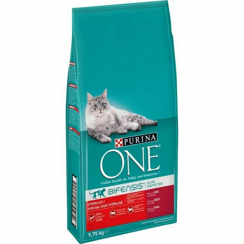 Cat food Purina Beef